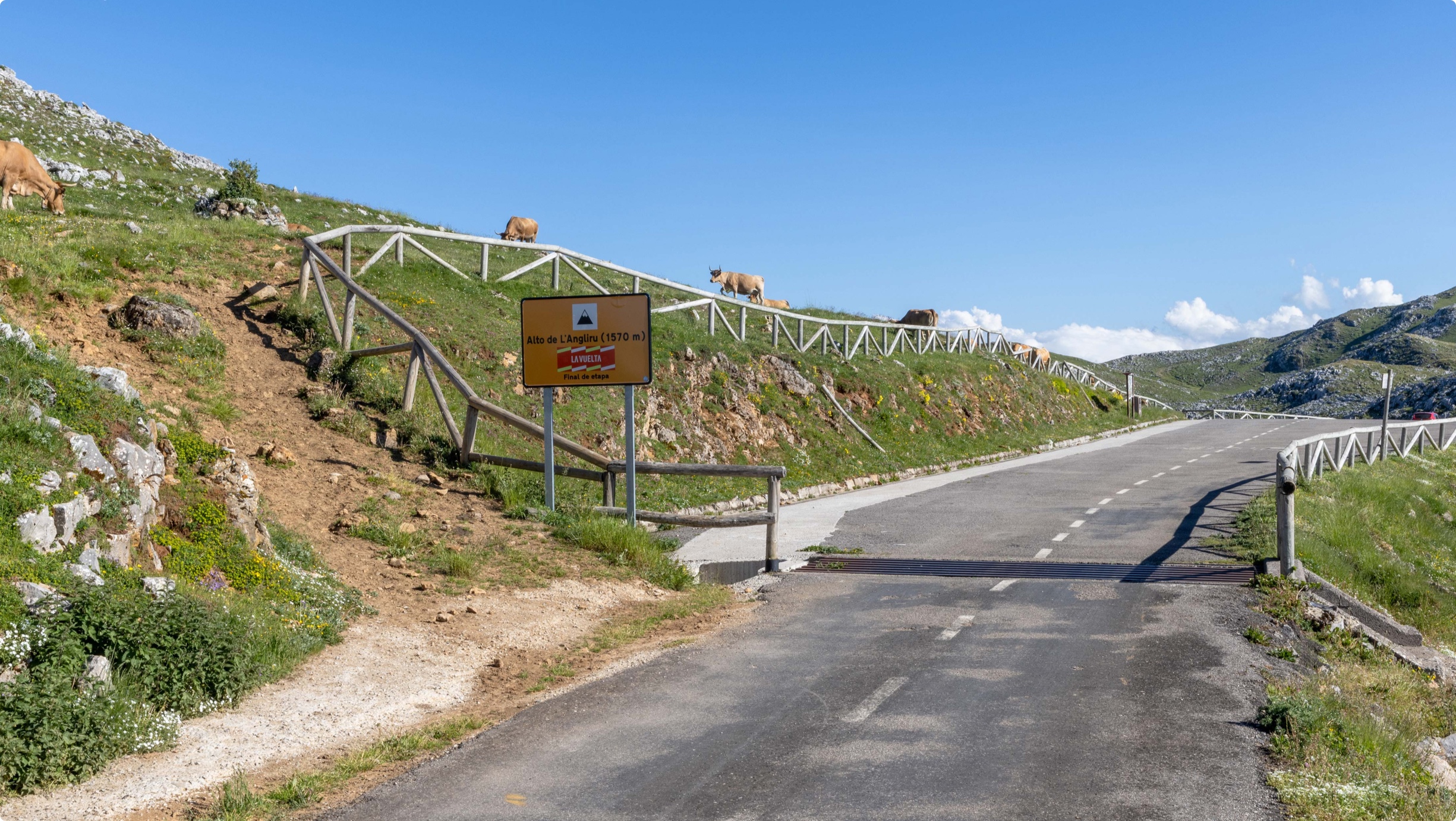 Camino rural con señalización y vacas pastando en un paisaje montañoso