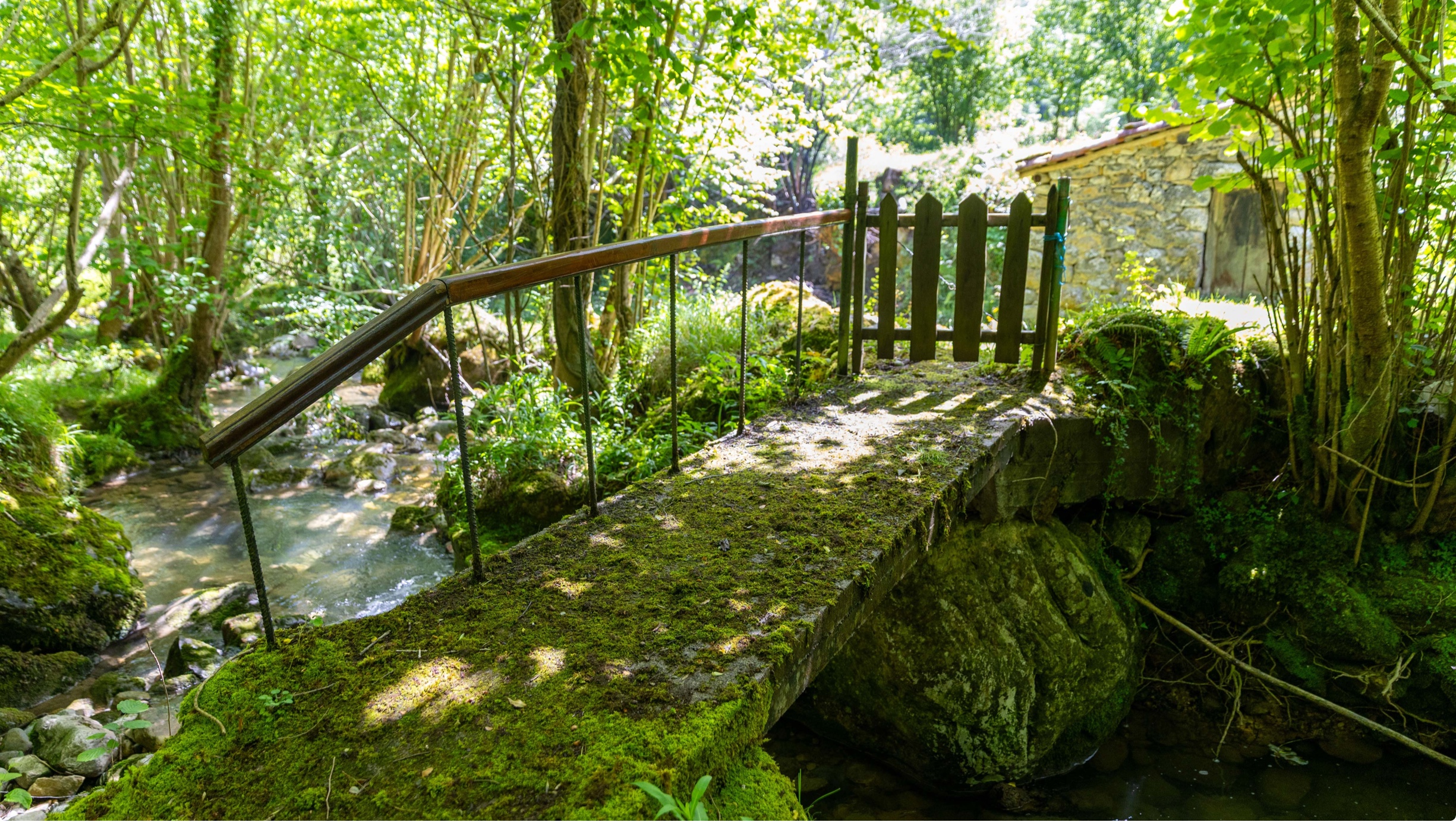 Puente de madera cubierto de musgo sobre un arroyo, rodeado de vegetación y un pequeño edificio de piedra al fondo