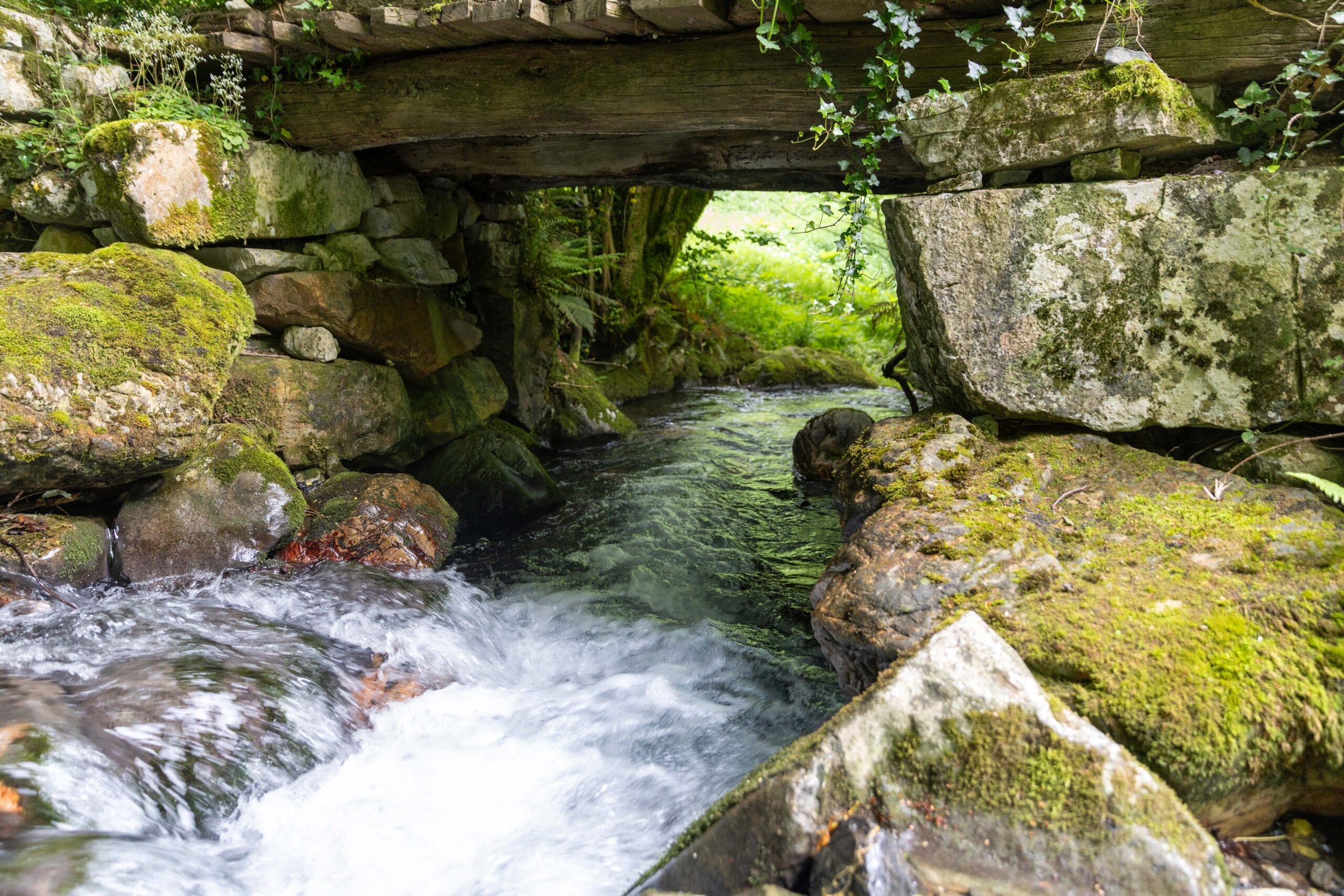 Foces de El Pino (Monumento Natural)