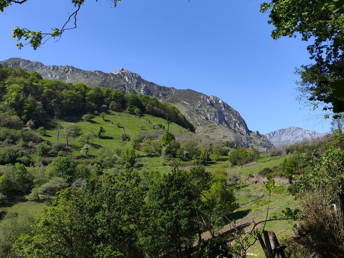 Paisaje montañoso con vegetación verde y un cielo azul despejado
