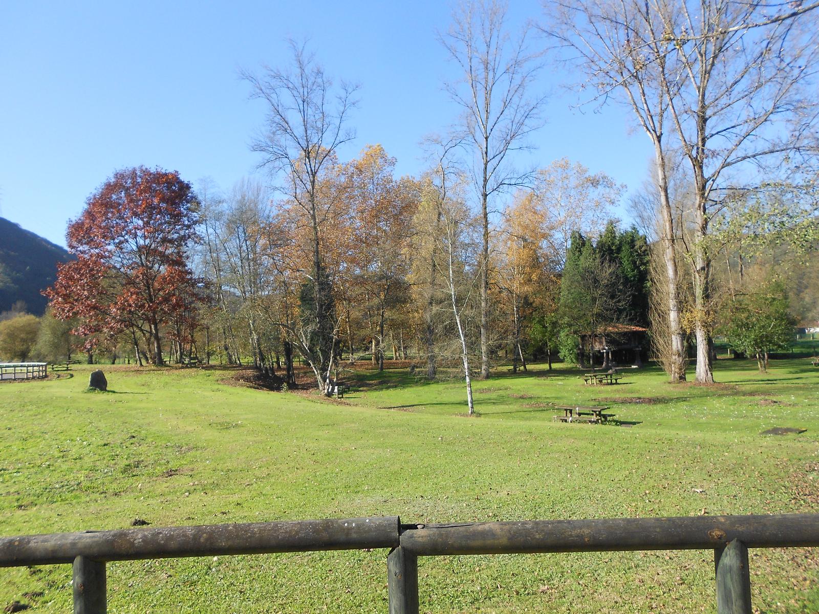 Paisaje de un parque con árboles de otoño, césped verde y un refugio en el fondo