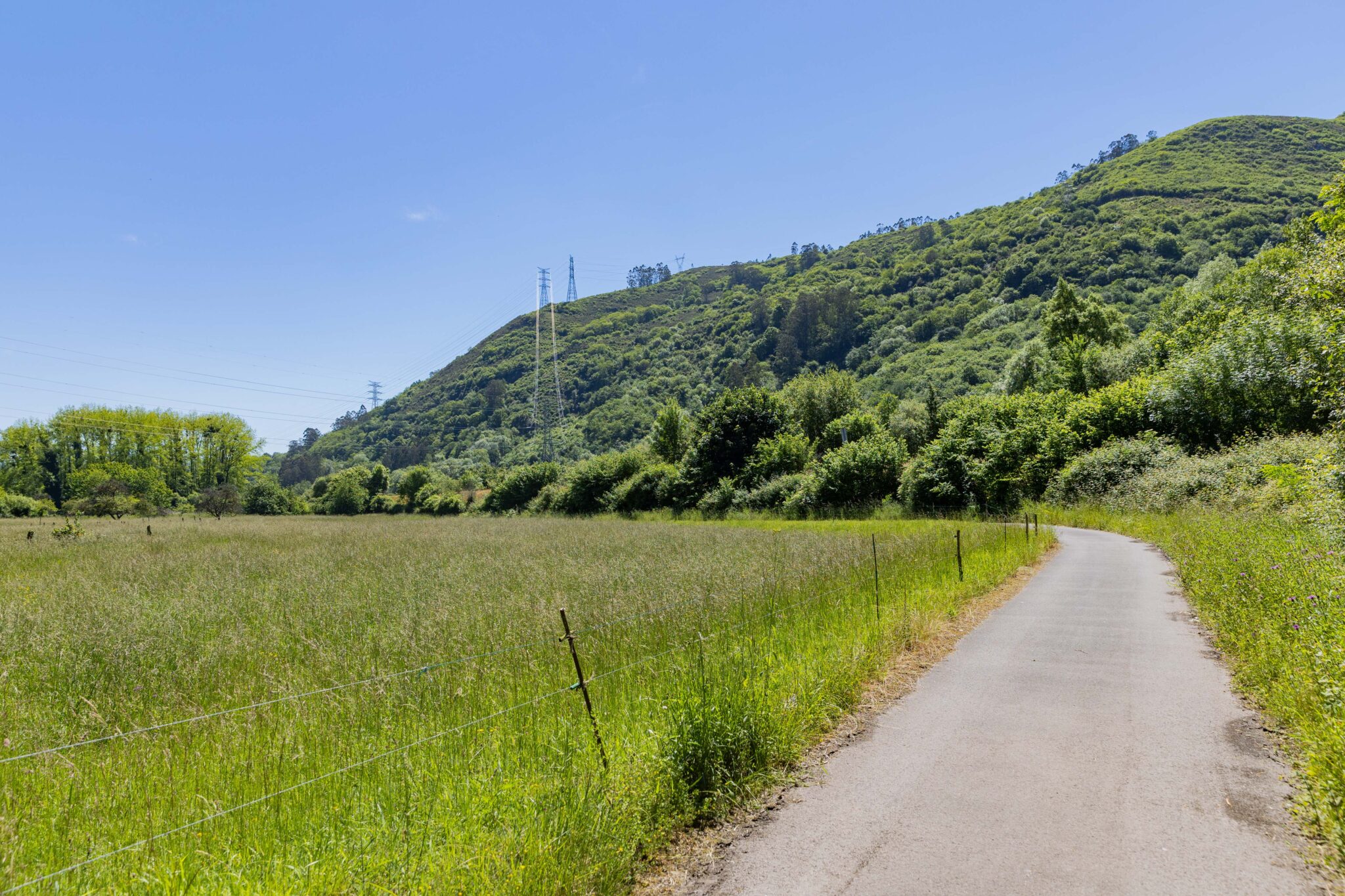 Camino pavimentado rodeado de un campo verde y colinas bajo un cielo despejado
