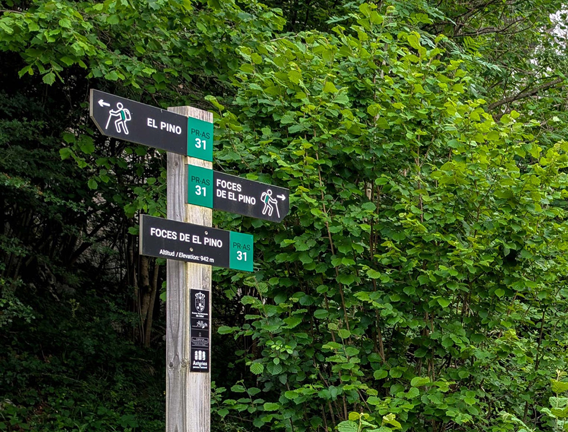Señalización de sendero con direcciones hacia "El Pino" y "Foces de El Pino" en un entorno natural