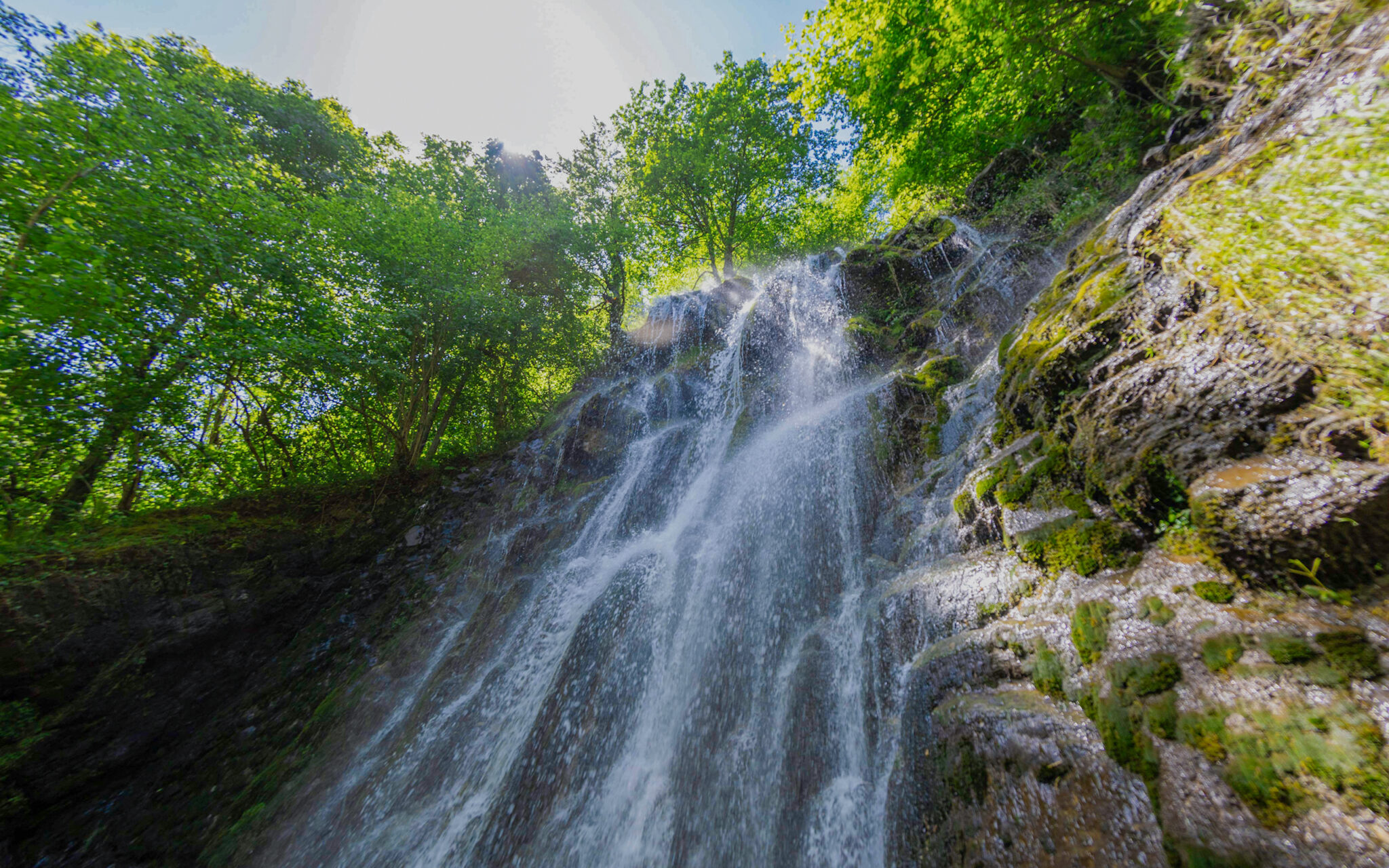 Cascada de agua fluyendo entre rocas, rodeada de vegetación verde y luz solar