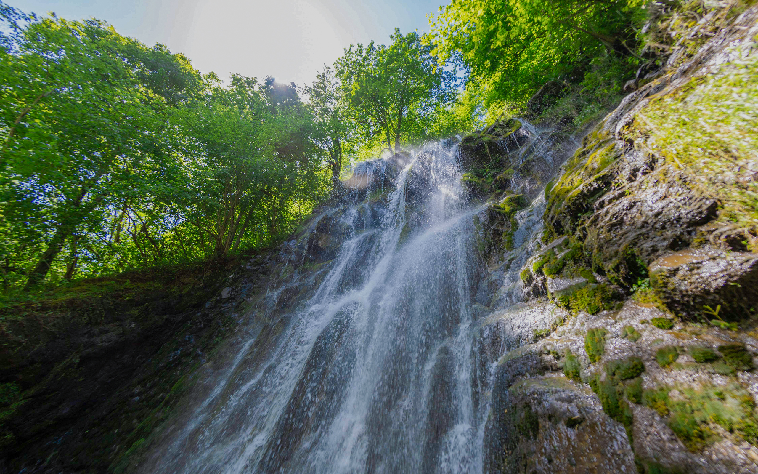 Cascada de agua fluyendo entre rocas, rodeada de vegetación verde y luz solar